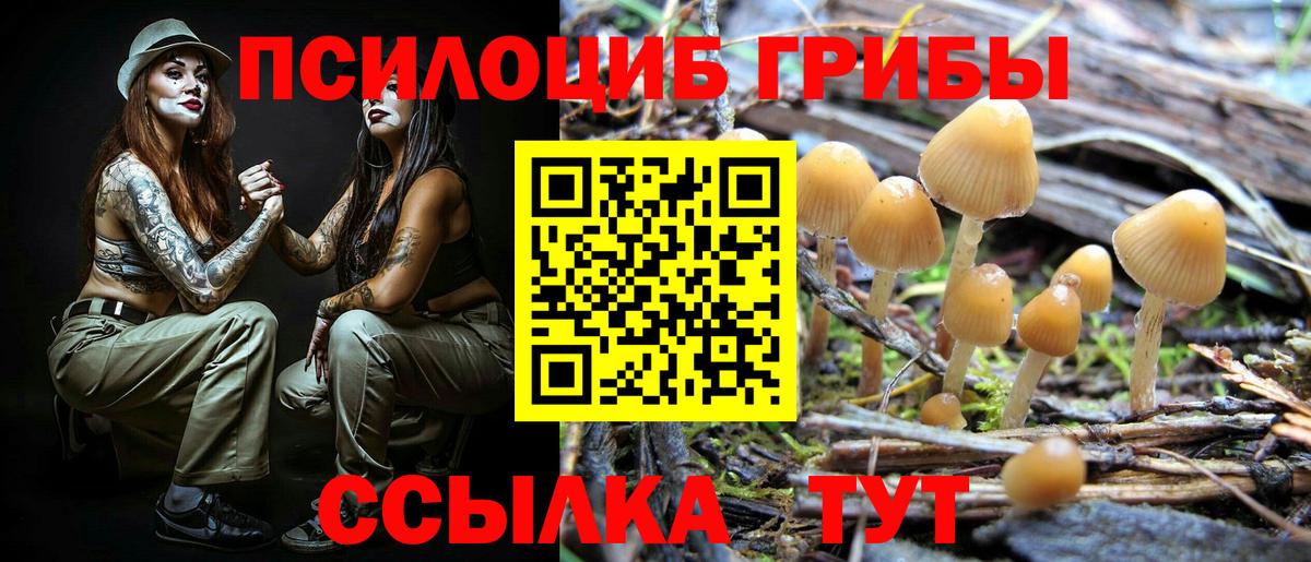 Сланцы  Псилоцибиновые грибы MAGIC MUSHROOMS  Вход с VPN 